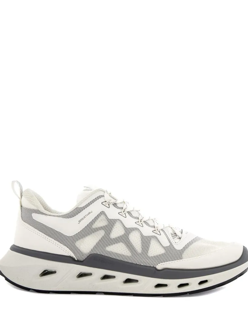 Ecco Biom 720 M Breathru