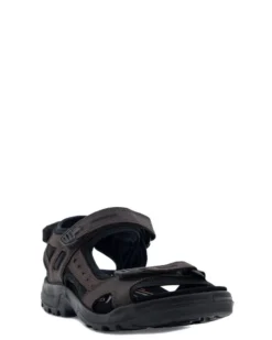 Ecco Offroad