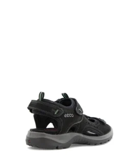 Ecco Offroad