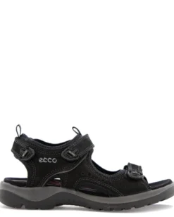 Ecco Offroad