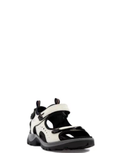 Ecco Offroad