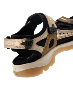 Ecco Offroad