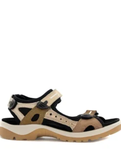 Ecco Offroad
