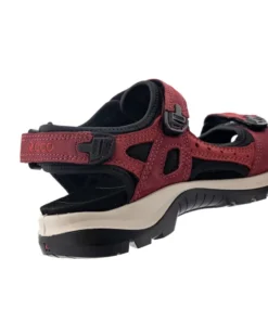 Ecco Offroad