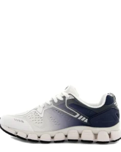 Scholl Galaxy 23
