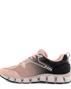 Scholl Galaxy 23