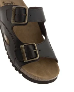 Scholl Moldava AD