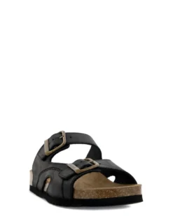 Scholl Moldava AD