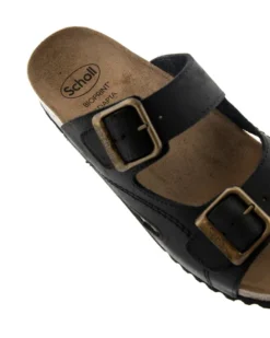 Scholl Moldava AD