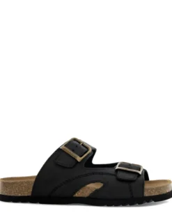 Scholl Moldava AD