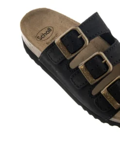 Scholl Rio WG AD