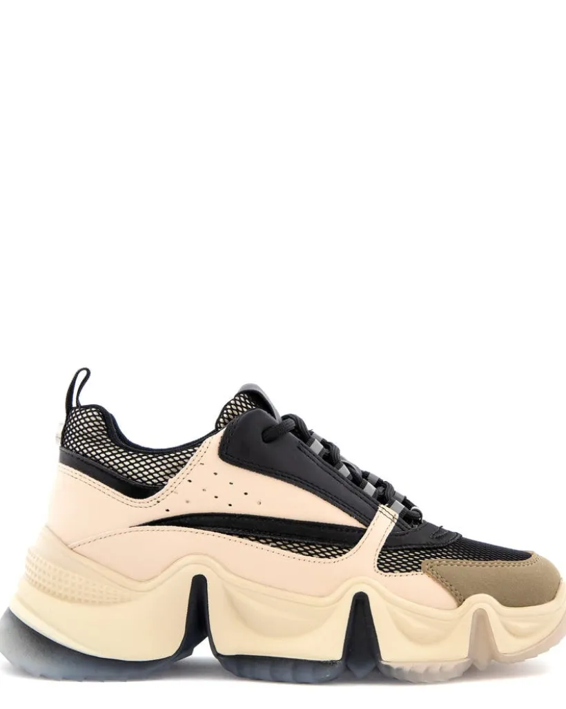 Steve Madden City soul sneaker