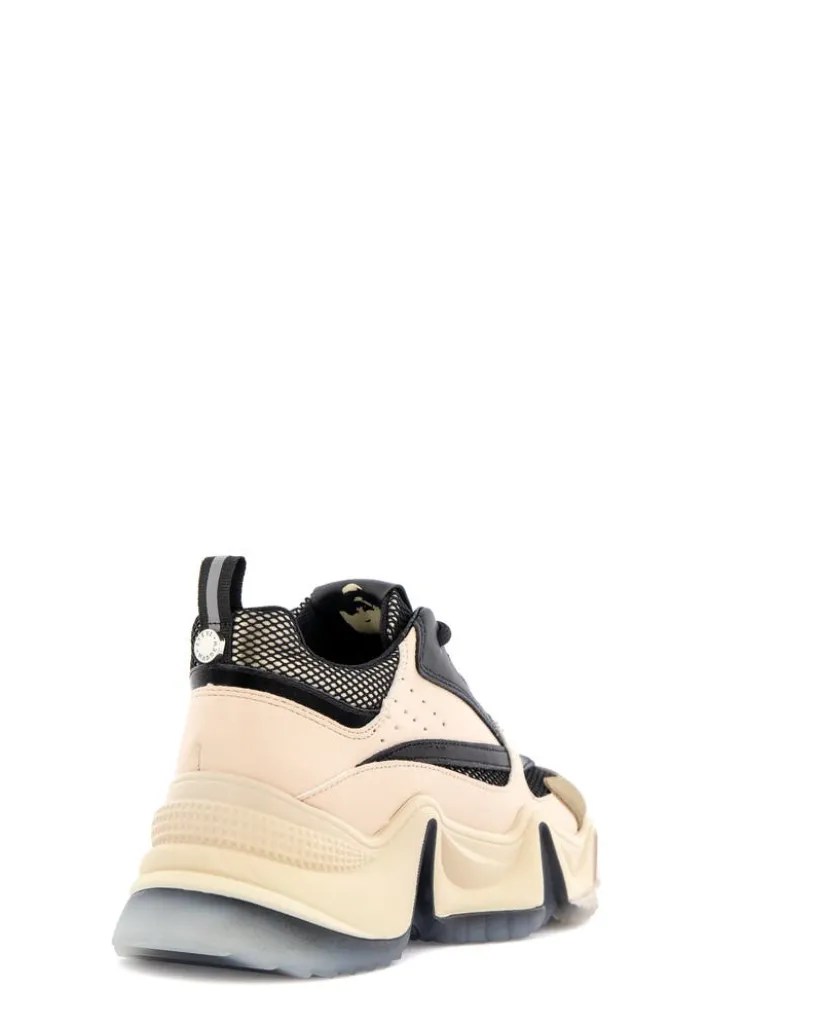 Steve Madden City soul sneaker