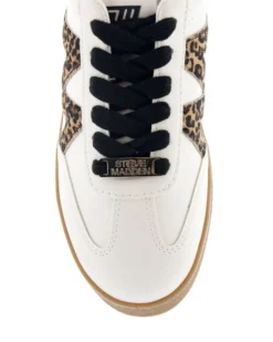 Steve Madden Degree