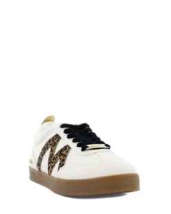 Steve Madden Degree